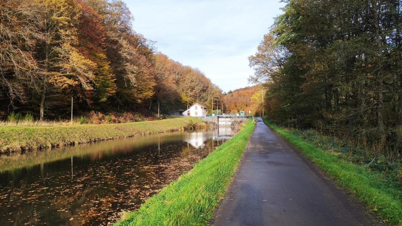 Spacieux Duplex Tout Confort A 200M Des Thermes De Bains-Les-Bains Dans Les Vosges Zewnętrze zdjęcie